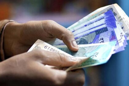 How ₹100 is used in Indian households