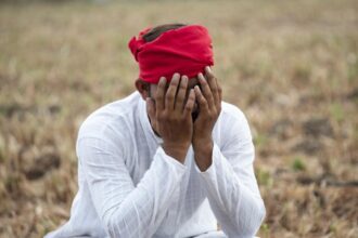 Global unemployment rate unchanged, ILO warns of decline in employment for youth and women