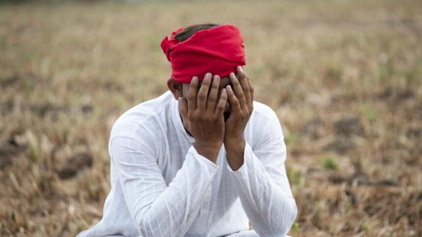 Global unemployment rate unchanged, ILO warns of decline in employment for youth and women