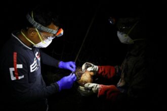 Weeks after two cases of Nipah virus in West Bengal, WHO confirms one death from Nipah virus in Bangladesh