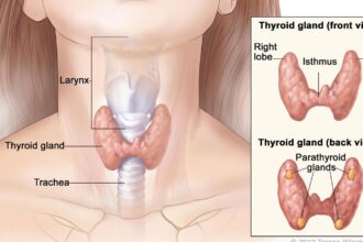 Thyroid disease: prevention and early detection
