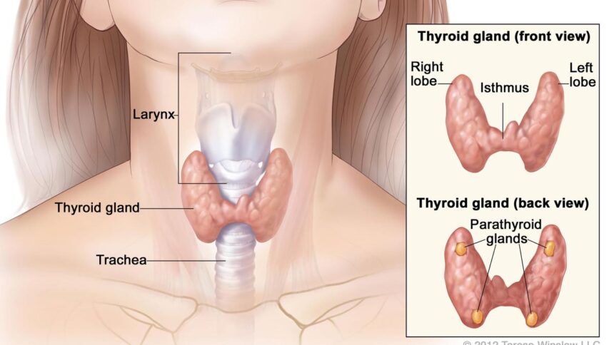 Thyroid disease: prevention and early detection