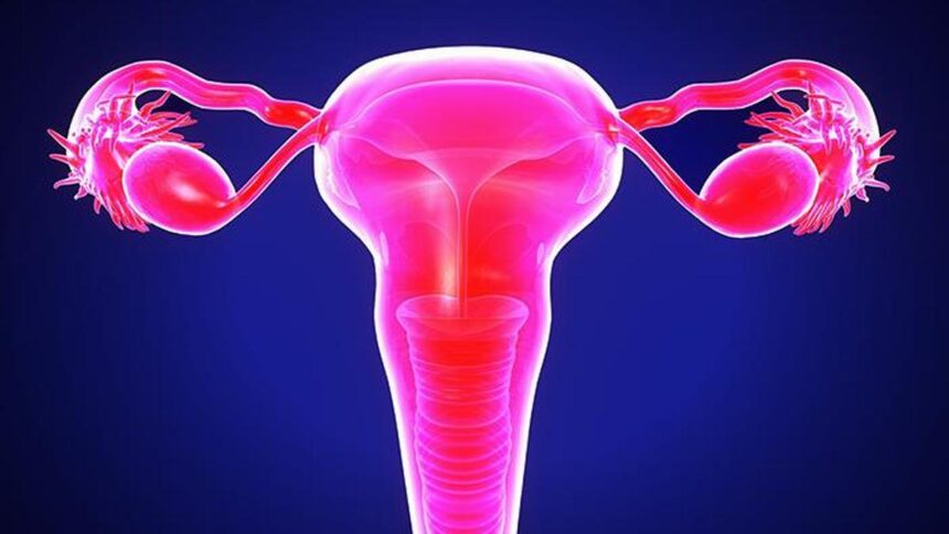 What women need to know about pelvic inflammatory disease