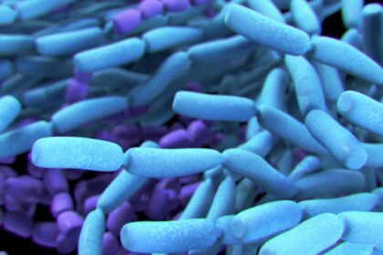 When do you really need a probiotic supplement, and most importantly, when don't you? Experts explain