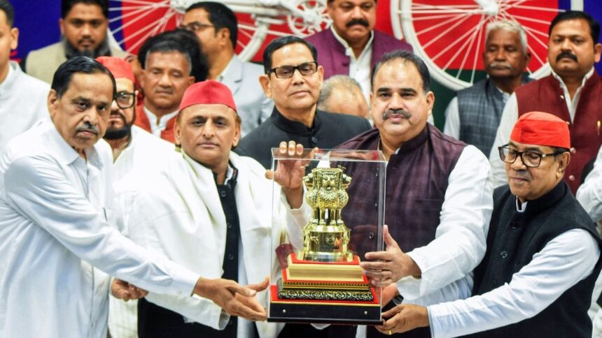 PDA board redraws UP's caste map: Why BSP old guard is betting on Akhilesh Yadav