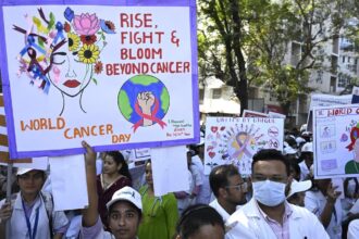 Analysis reveals that more than one-third of cancers around the world may be preventable