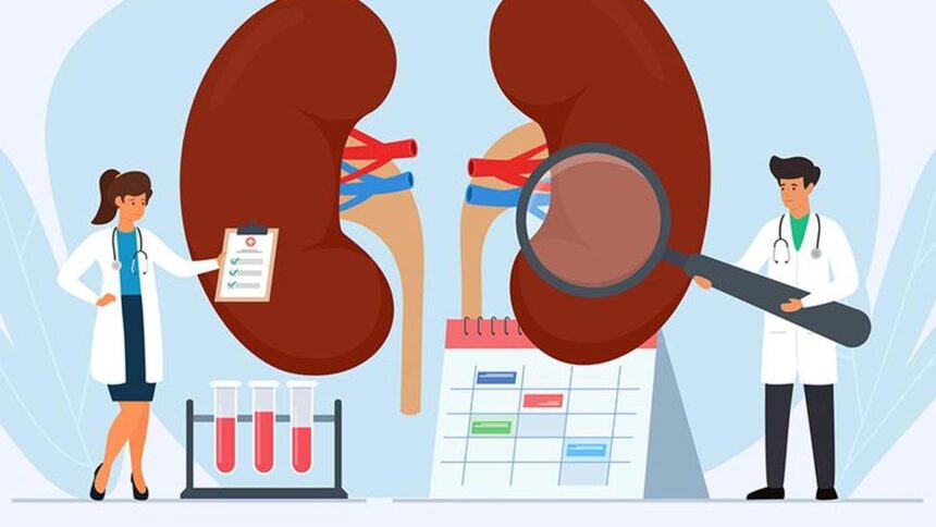 Everything you need to know about hyperoxaluria