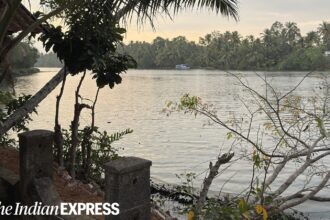 Drifting through Kerala’s backwaters, where time slows to the rhythm of oars and coconut palms mirror themselves in still green waters.