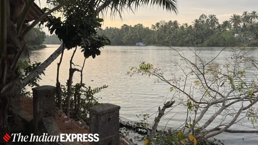 Drifting through Kerala’s backwaters, where time slows to the rhythm of oars and coconut palms mirror themselves in still green waters.