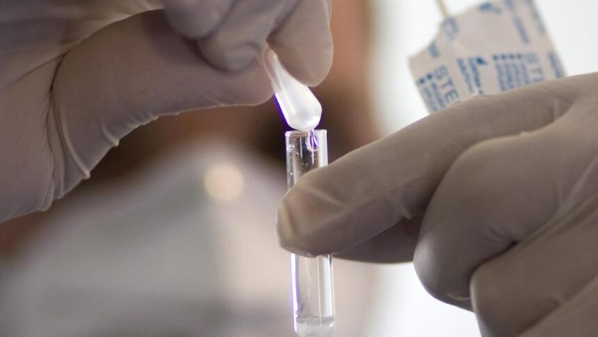 Spain warns WHO that swine flu virus may have spread to humans