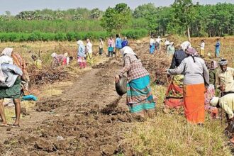 Union Budget 2026: Activists slam allocation for local jobs scheme