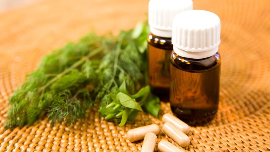 How will increased budget, EU access remake AYUSH beyond India? |Explained