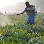 US-India deal benefits farmers, traders—RSS affiliates come forward to help government amid Oppn attack