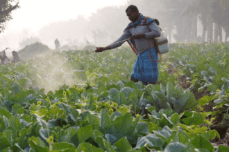 US-India deal benefits farmers, traders—RSS affiliates come forward to help government amid Oppn attack