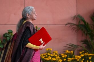 High-speed rail, coconut promotion, nod to Kanjeevaram — Nirmala's budget proposal for poll-bound states