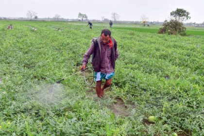 Impact of Iran war: Agrochemical industry warns of rising prices and proliferation of counterfeit ingredients