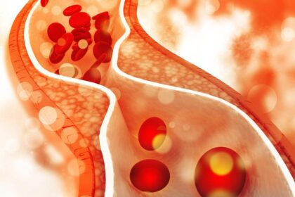 Numbers that save lives: What the 2026 U.S. Cholesterol Guidelines mean for everyone.