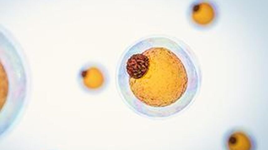 Fat cells burn energy and create heat - fat cells are the next frontier in weight loss therapy
