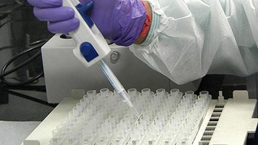 Supreme Court to consider feasibility of NAT in blood transfusions