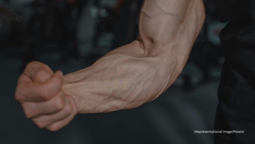 Basics of vein function