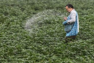 Amid the West Asian crisis, India bought natural gas from the spot market for fertilizer units at $19 per unit.