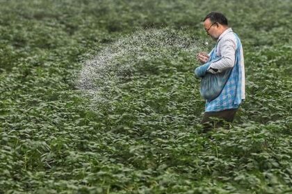 Amid the West Asian crisis, India bought natural gas from the spot market for fertilizer units at $19 per unit.