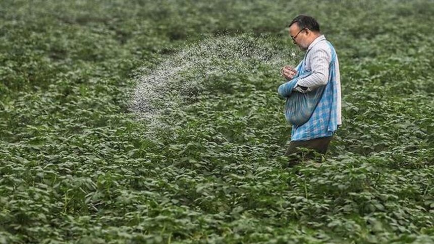 Amid the West Asian crisis, India bought natural gas from the spot market for fertilizer units at $19 per unit.