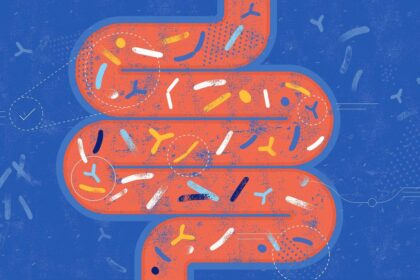 Modulating the gut microbiome may reverse age-related memory loss: study