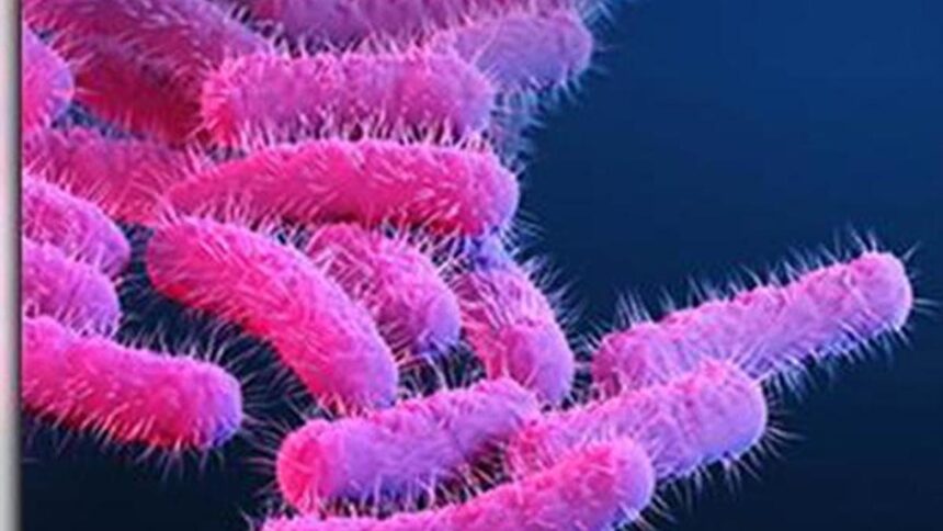 What you need to know: About bacterial bacteriosis