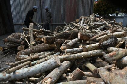 Google Preferred Source