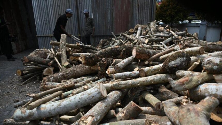 Google Preferred Source