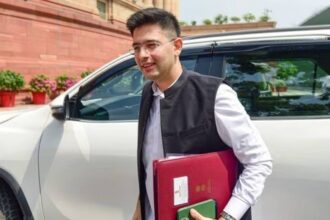 'Silence is not defeat' - Raghav Chadha speaks out after AAP demotes him from Rajya Sabha post
