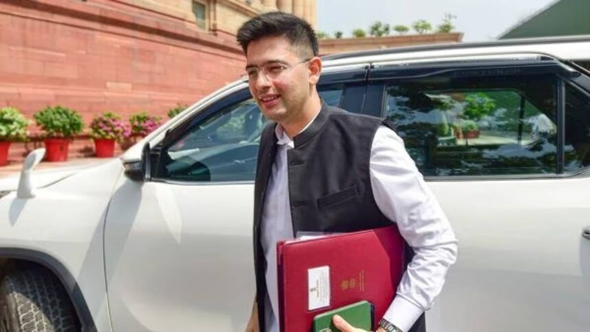 'Silence is not defeat' - Raghav Chadha speaks out after AAP demotes him from Rajya Sabha post