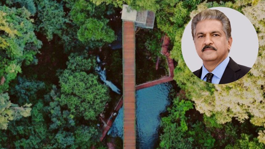 Anand Mahindra
