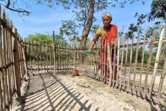 TMC vs BJP war, Kaliaganj Assembly constituency, West Bengal Assembly elections, West Bengal Assembly polls, Rajbongshi community, West Bengal BJP, Trinamool Congress, West Bengal BJP, Trinamool Congress,