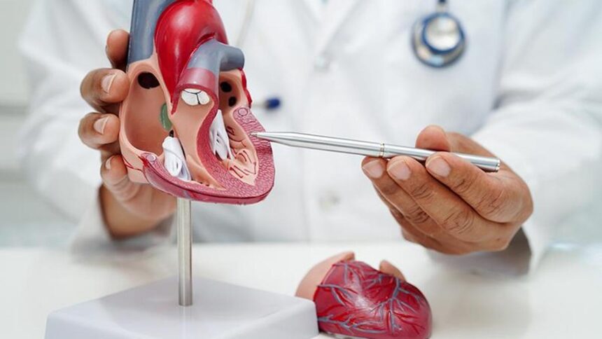 Discovery of new molecular pathway contributing to cardiovascular disease in Indians