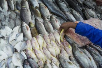 Fishing mining in reservoirs