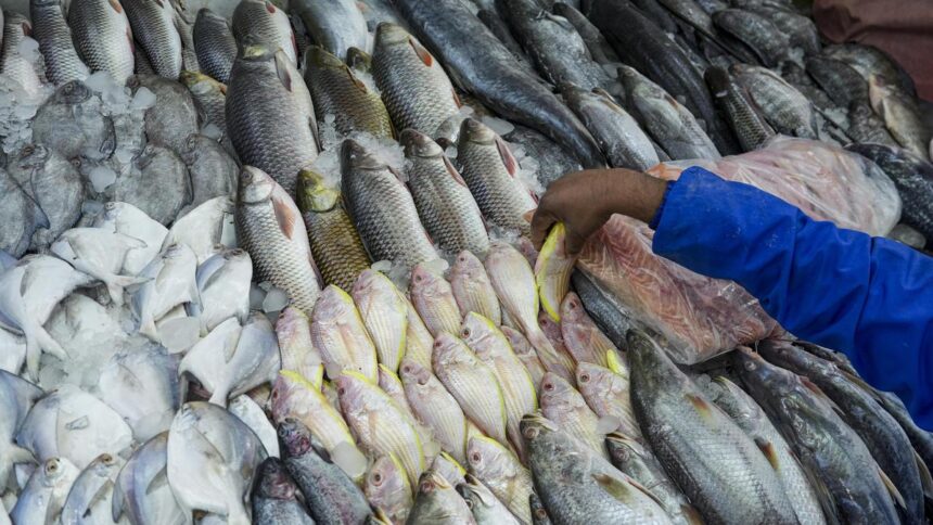 Fishing mining in reservoirs