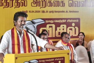 Vijay releases TVK manifesto. We promise a free gas cylinder, 8 grams of gold, and a silk sari for the bride.
