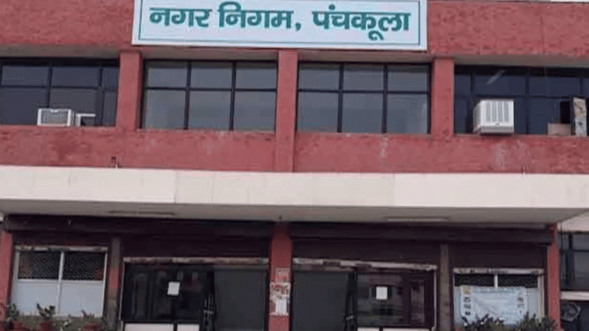 Citizen polls to be held in three Haryana cities soon: new litmus test for Congress, still wise from 2024 defeat