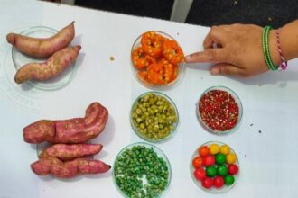 Telangana Food Safety Authority demonstrates method to identify adulterated food