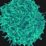 Enhanced CAR-T therapy eliminates solid tumors by discovering 'subtle' targets