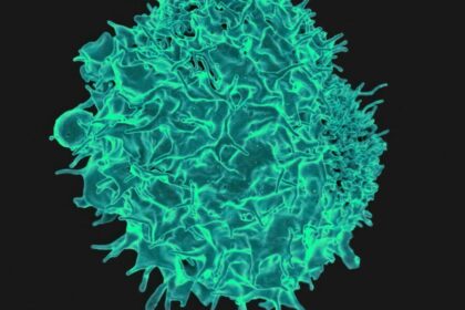 Enhanced CAR-T therapy eliminates solid tumors by discovering 'subtle' targets