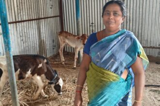 From a small panchayat in TN, a lesson in what women in power can mean