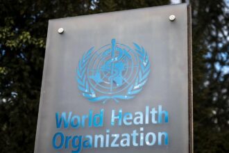 WHO warns of increased number of hantavirus infections due to 'limited' outbreak