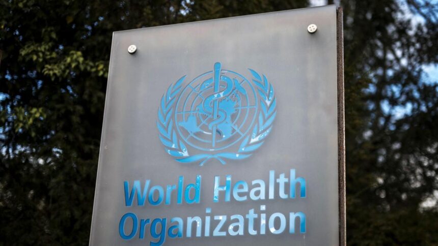 WHO warns of increased number of hantavirus infections due to 'limited' outbreak