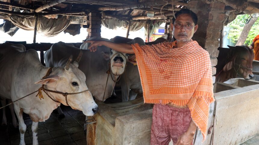 In Bengal, new norms for slaughter spread confusion and fear