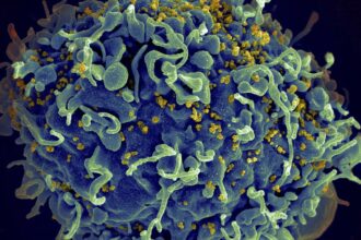 Small study suggests activating immune cells may help fight HIV