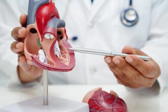 Noncommunicable diseases accounted for 60% of all deaths from 2022 to 2024 | Data