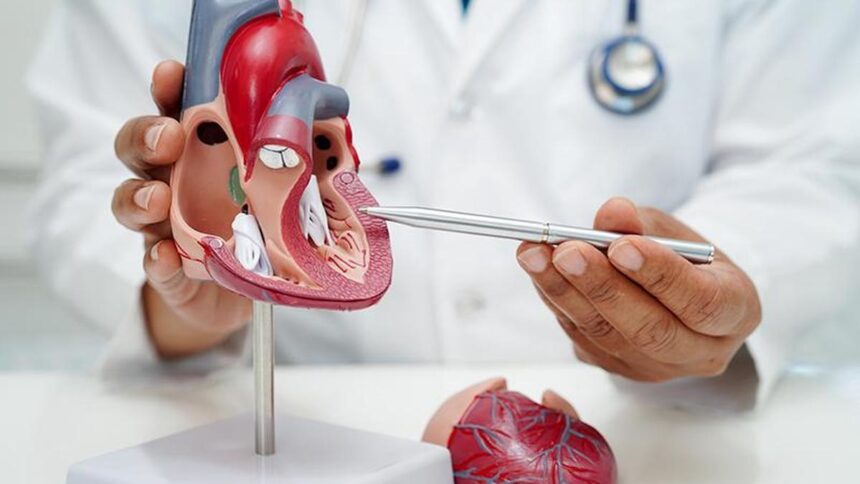 Noncommunicable diseases accounted for 60% of all deaths from 2022 to 2024 | Data